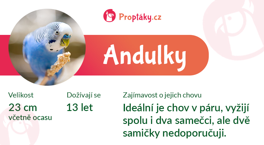 Andulky_medailonek